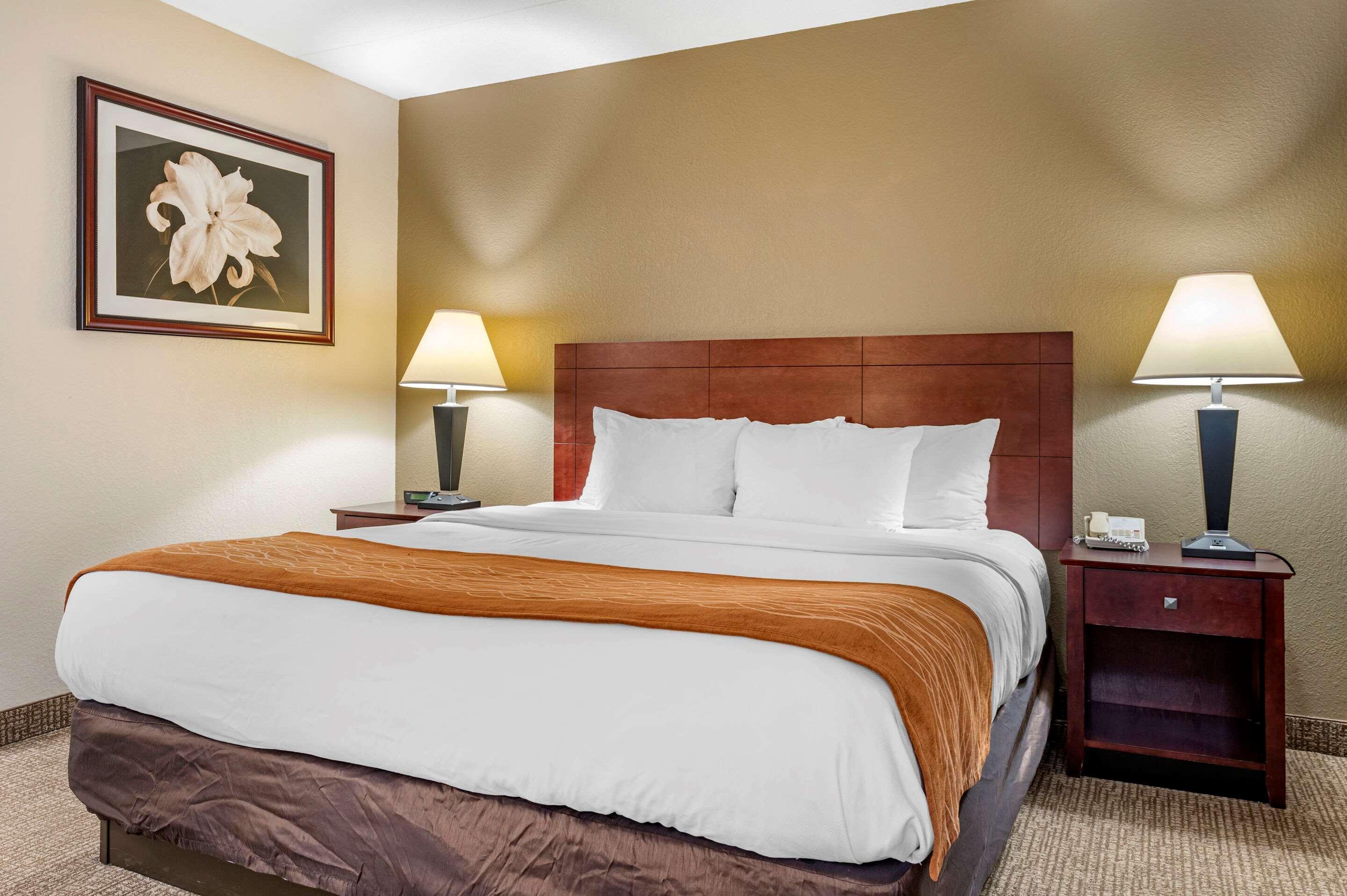 Comfort Inn Northeast Mason Eksteriør bilde